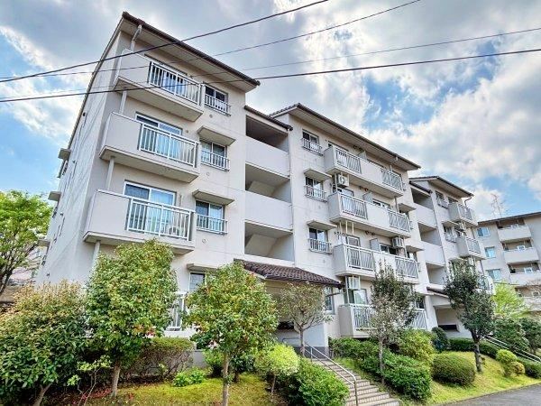 Property - Photo 1