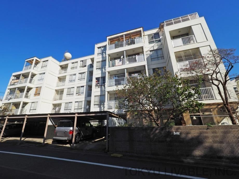 Property - Photo 1