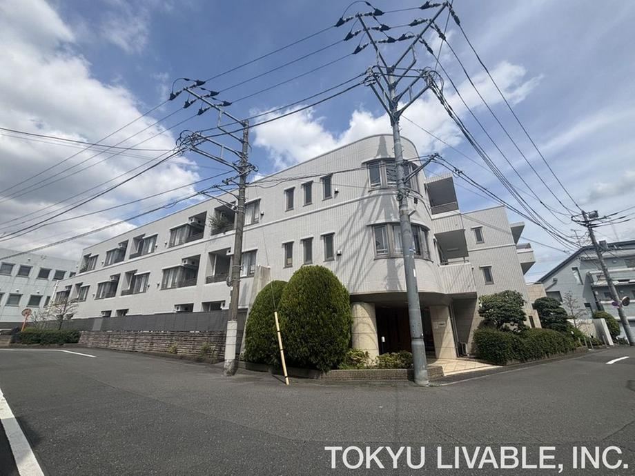 1LDK apartment in Suginami Ward, Tokyo - Photo 1