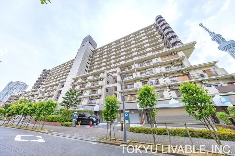 2LDK+S apartment in Sumida Ward, Tokyo - Photo 1