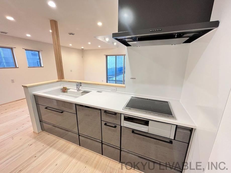 3LDK+S house in Nisshin, Aichi - Photo 1
