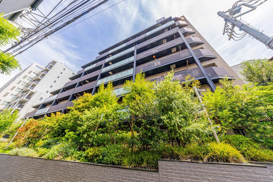 1LDK apartment in Shibuya Ward, Tokyo - Photo 1