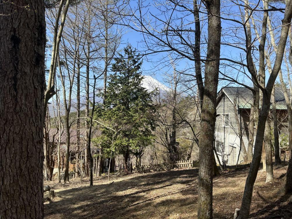 661 m² land in Yamanakako, Minamitsuru District, Yamanashi - Photo 1