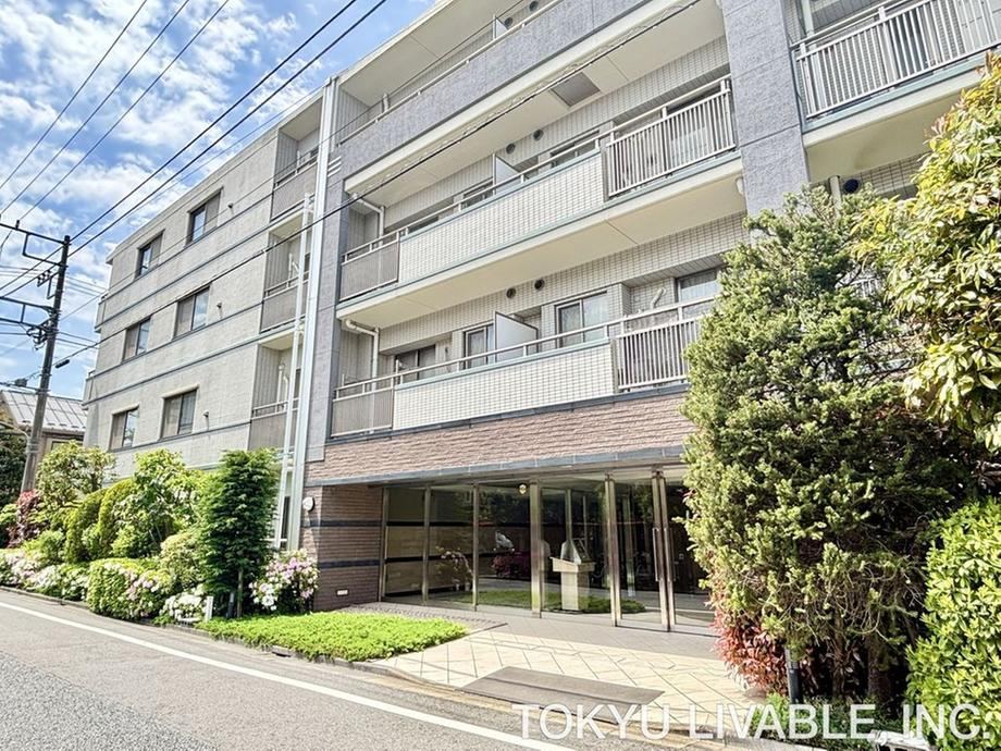 1LDK apartment in Suginami Ward, Tokyo - Photo 1
