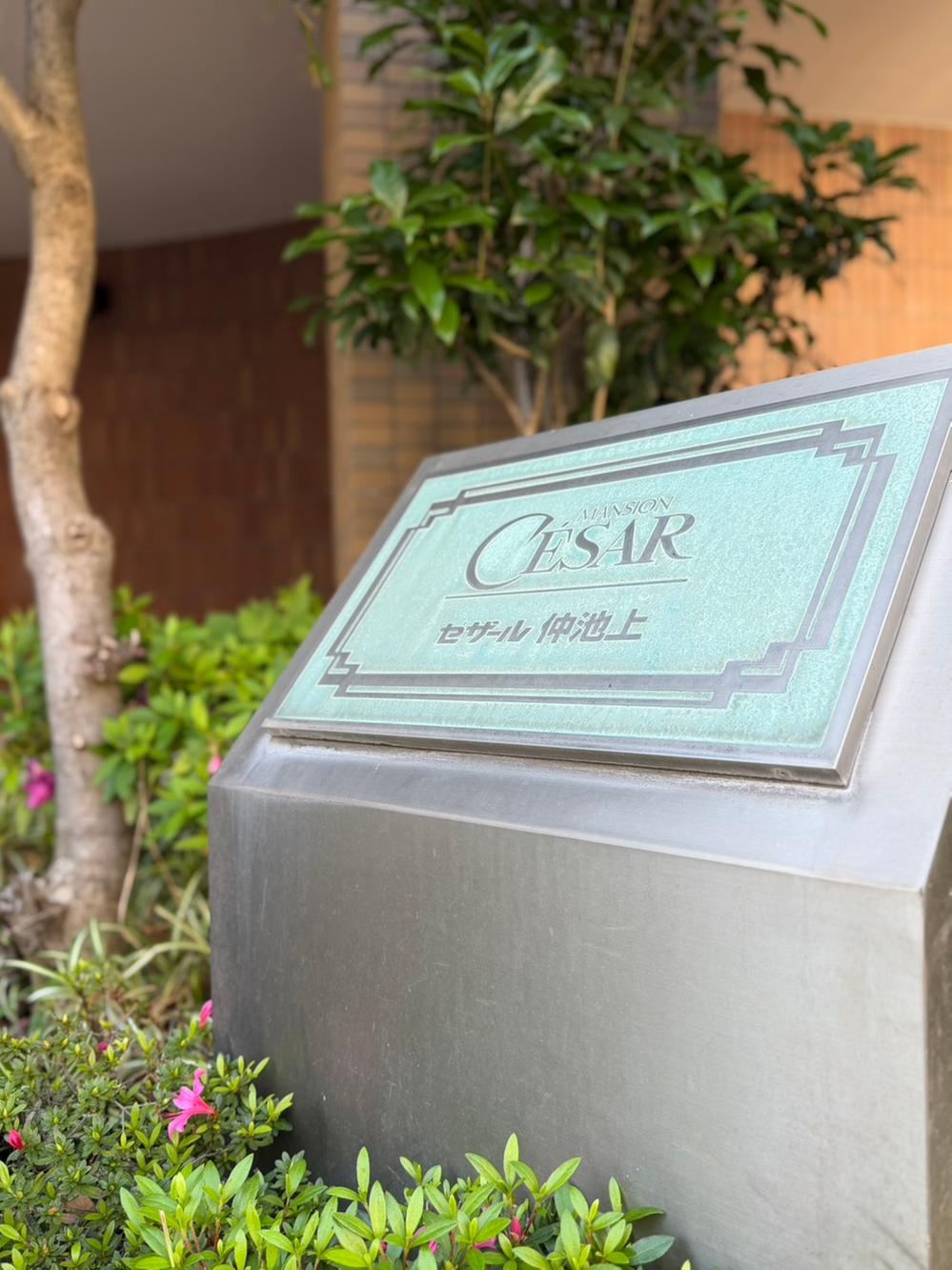 Property - Photo 1