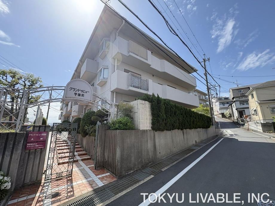 Property - Photo 1
