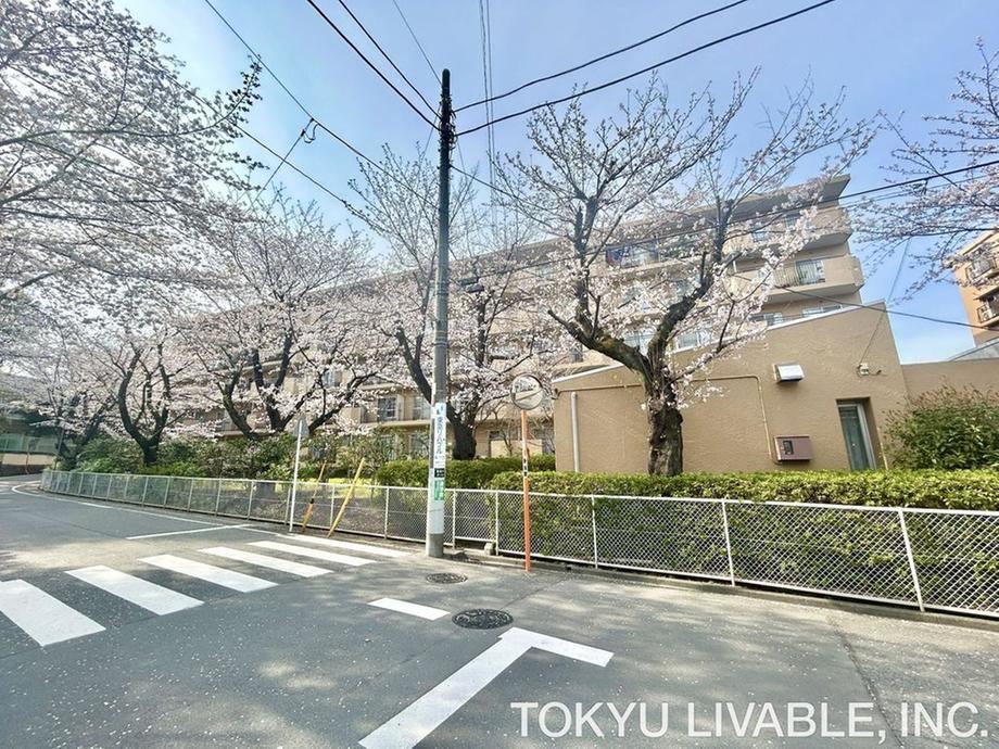 2LDK apartment in Miyamae Ward, Kawasaki, Kanagawa - Photo 1