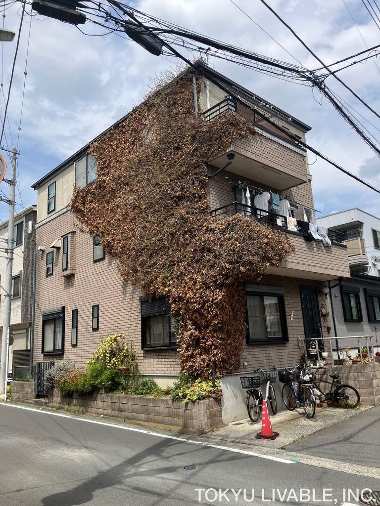 5LDK house in Chigasaki, Kanagawa - Photo 1