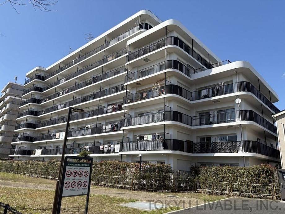 Property - Photo 1