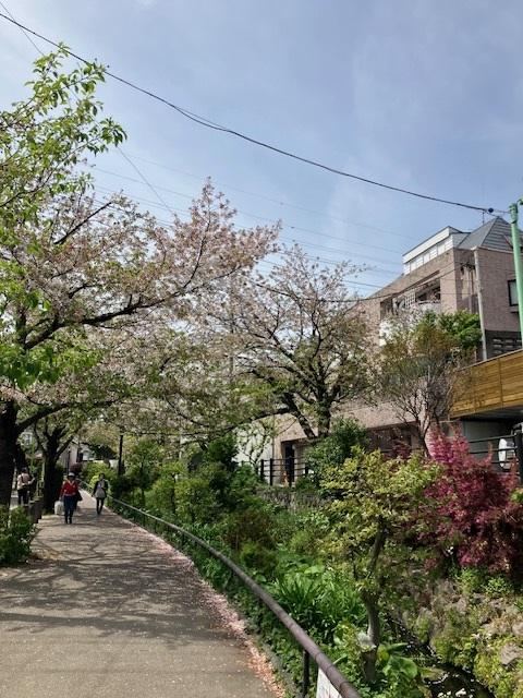4LDK+2S house in Setagaya Ward, Tokyo - Photo 1