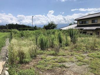 plot of land in Shimoina District
