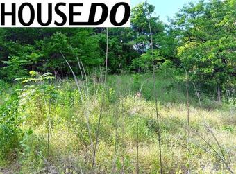 plot of land in Iida
