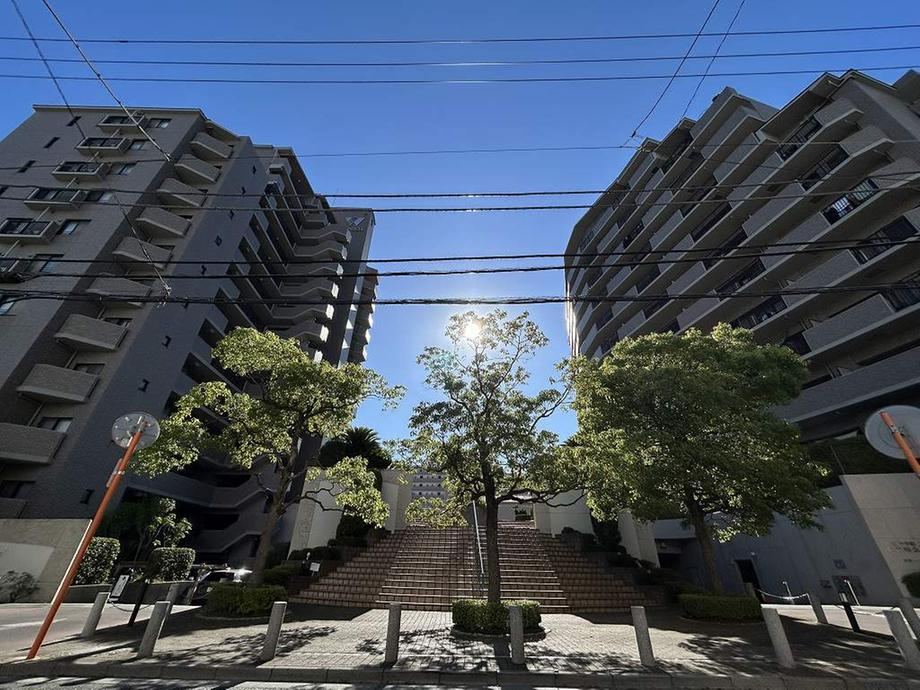 3LDK+S apartment in Koto Ward, Tokyo - Photo 1