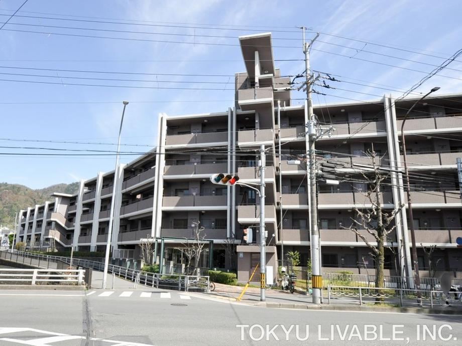 3LDK+S apartment in Sakyo Ward, Kyoto - Photo 1