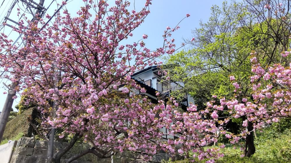 405 m² land in Chuo Ward, Fukuoka - Photo 1