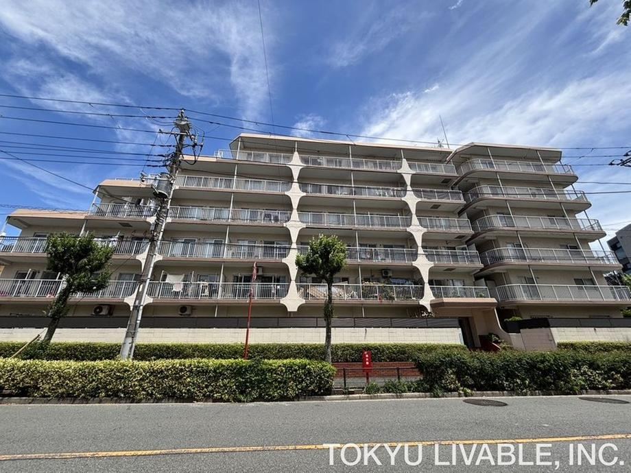 Property - Photo 1