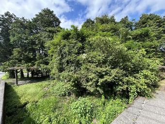 plot of land in Kitsuki