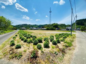 plot of land in Marumori, Igu District