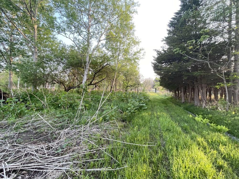 Property - Photo 1
