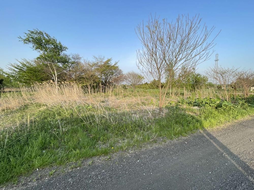 Property - Photo 1