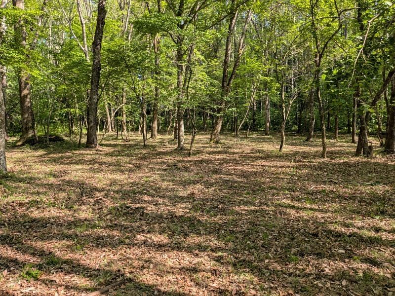 3590 m² land in Hara, Suwa District, Nagano - Photo 1