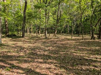 plot of land in Suwa District