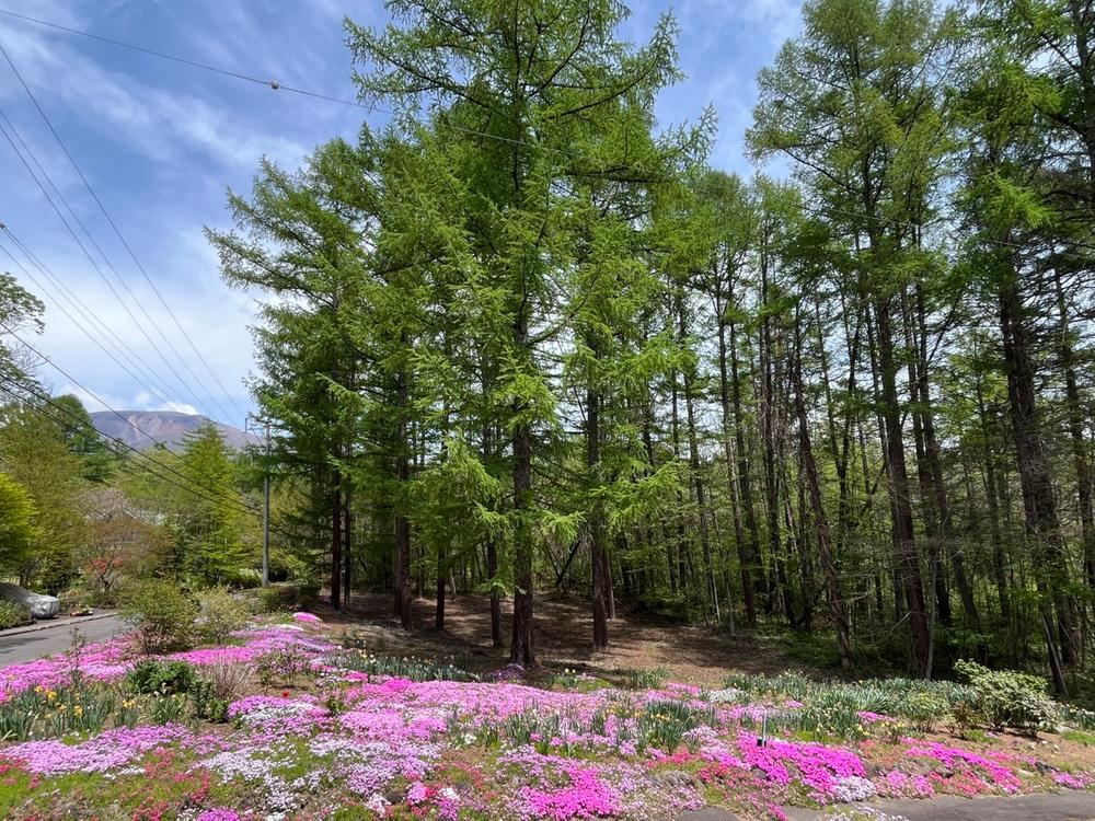 1038 m² land in Karuizawa, Kitasaku District, Nagano - Photo 1