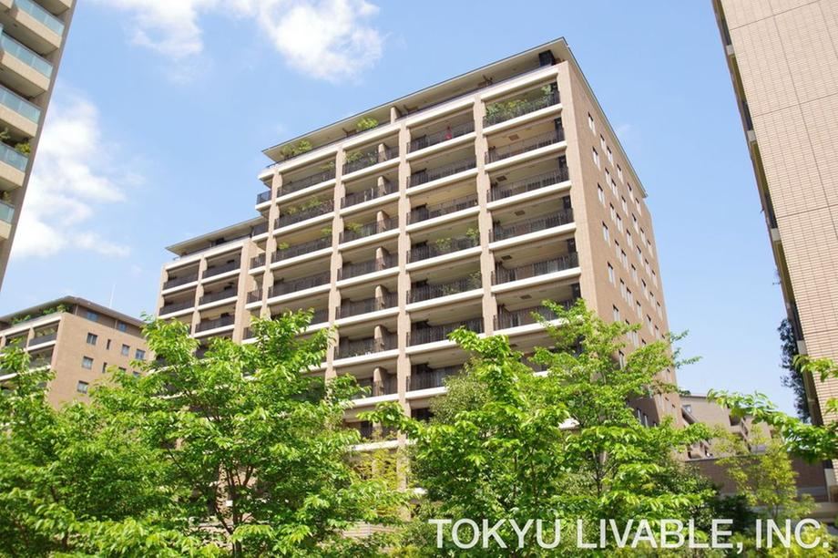 1LDK apartment in Shibuya Ward, Tokyo - Photo 1