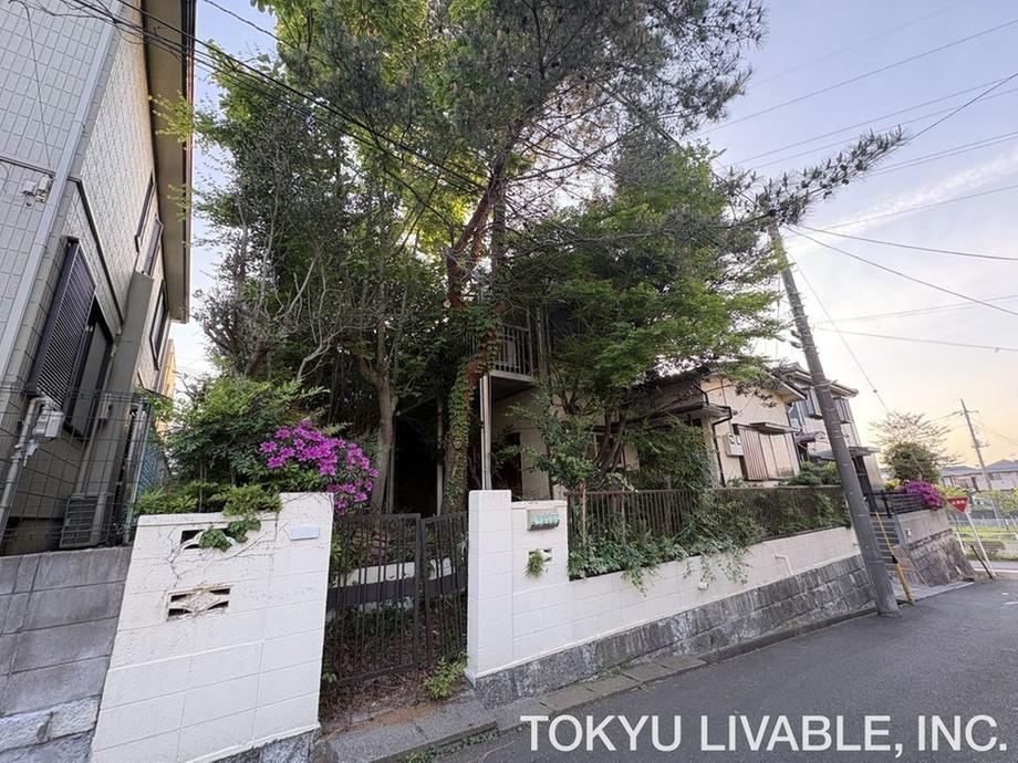 163 m² land in Sayama, Saitama - Photo 1