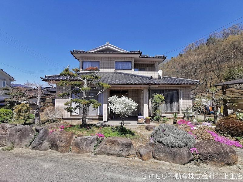 Property - Photo 1