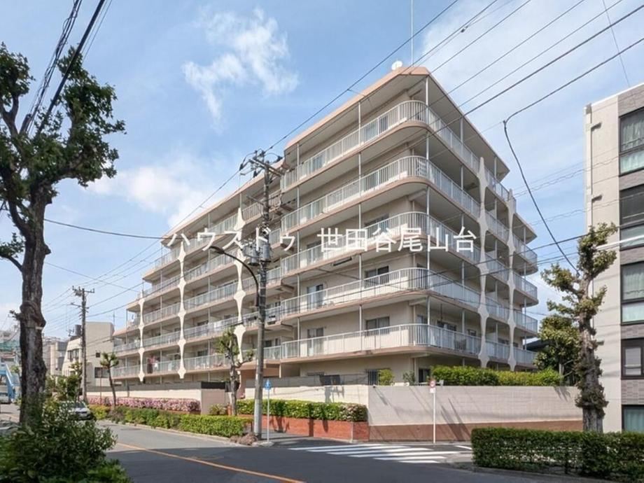 Property - Photo 1
