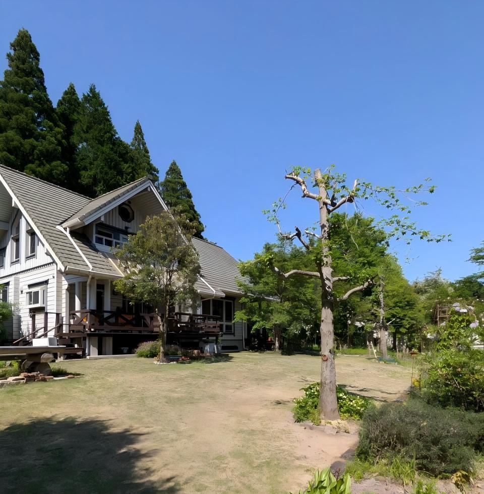 Property - Photo 1