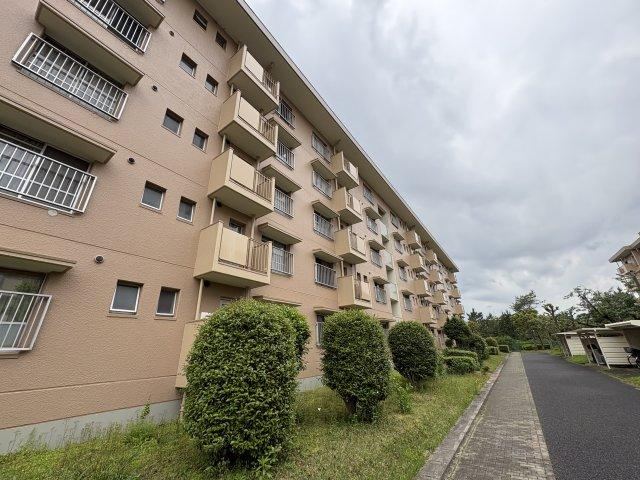 4LDK apartment in Kashiwa, Chiba - Photo 1