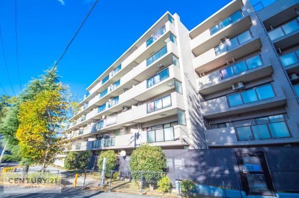 3LDK apartment in Matsudo, Chiba - Photo 1