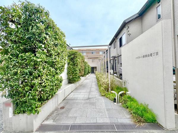 3LDK apartment in Suginami Ward, Tokyo - Photo 1