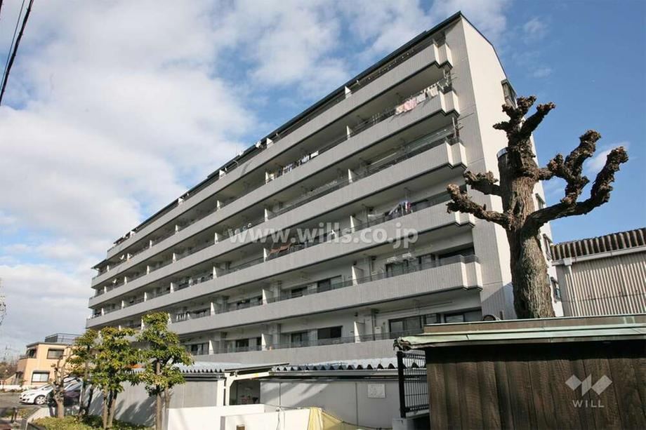 Property - Photo 1