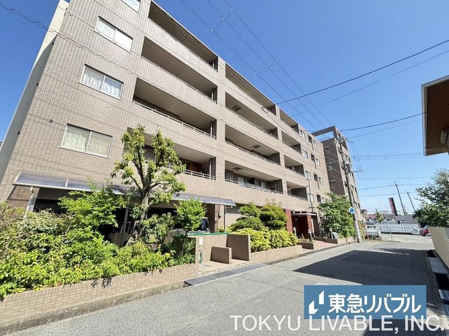 Property - Photo 1