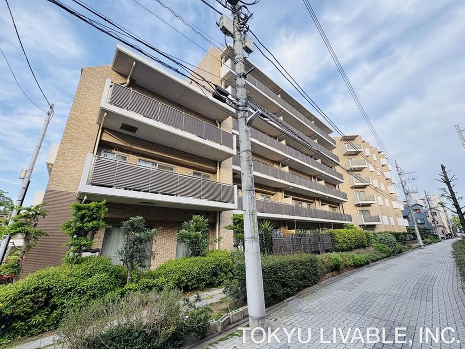 4LDK+S apartment in Adachi Ward, Tokyo - Photo 1