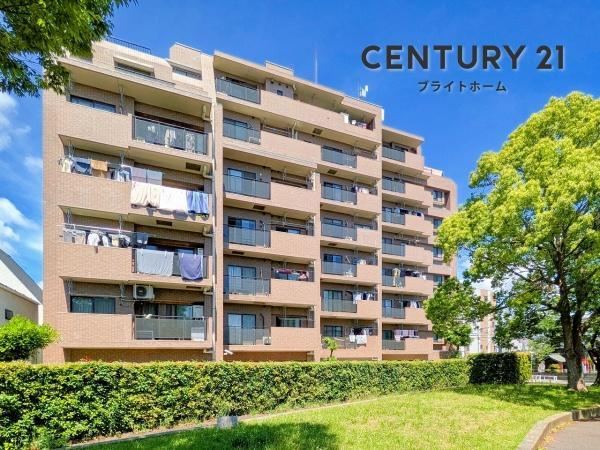 Property - Photo 1