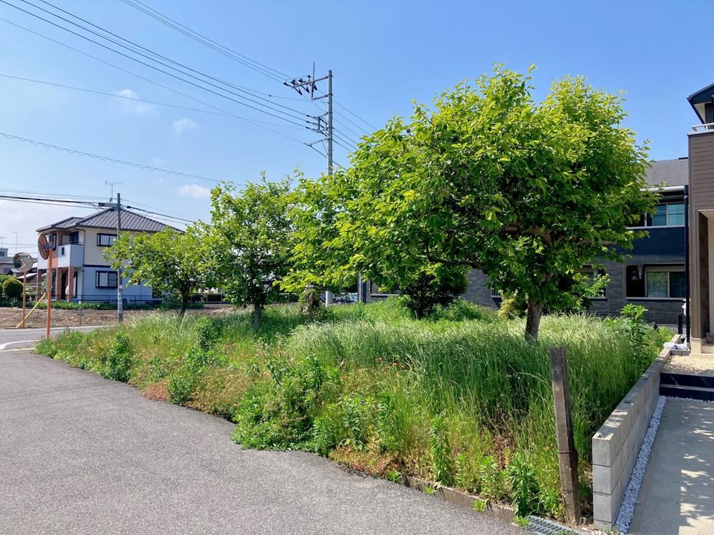 231 m² land in Mobara, Chiba - Photo 1