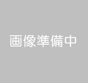 plot of land in Shirakawa