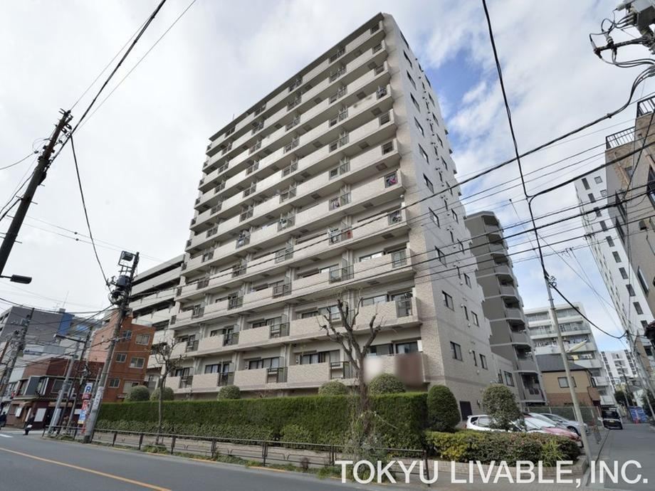1LDK+S apartment in Taito Ward, Tokyo - Photo 1