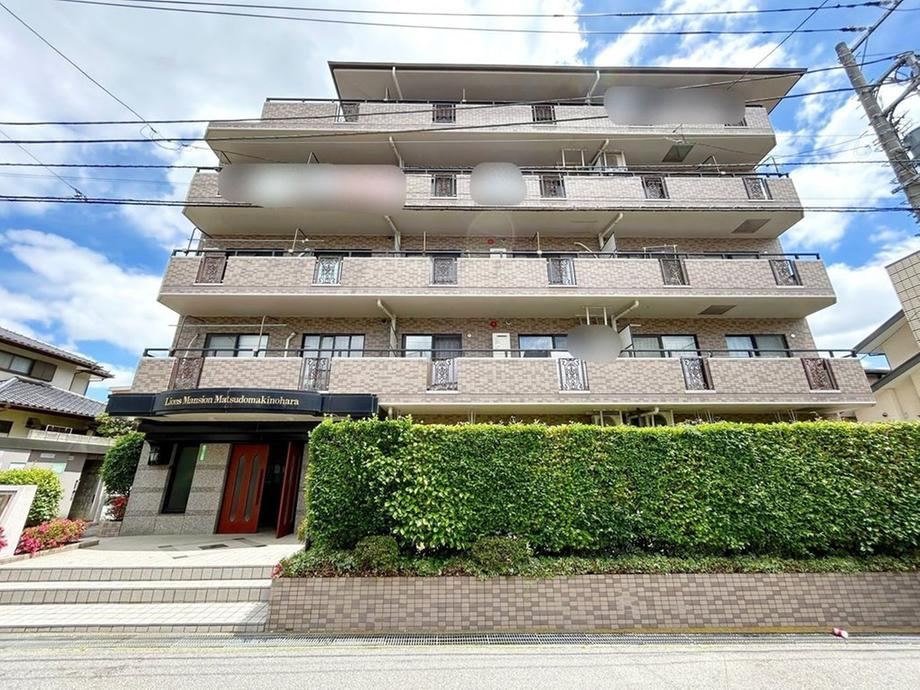 3LDK apartment in Matsudo, Chiba - Photo 1