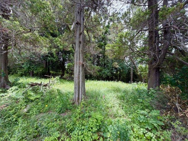 167 m² land in Miho, Inashiki District, Ibaraki - Photo 1