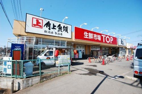 1000 m² land in Miyoshi, Iruma District, Saitama - Photo 1