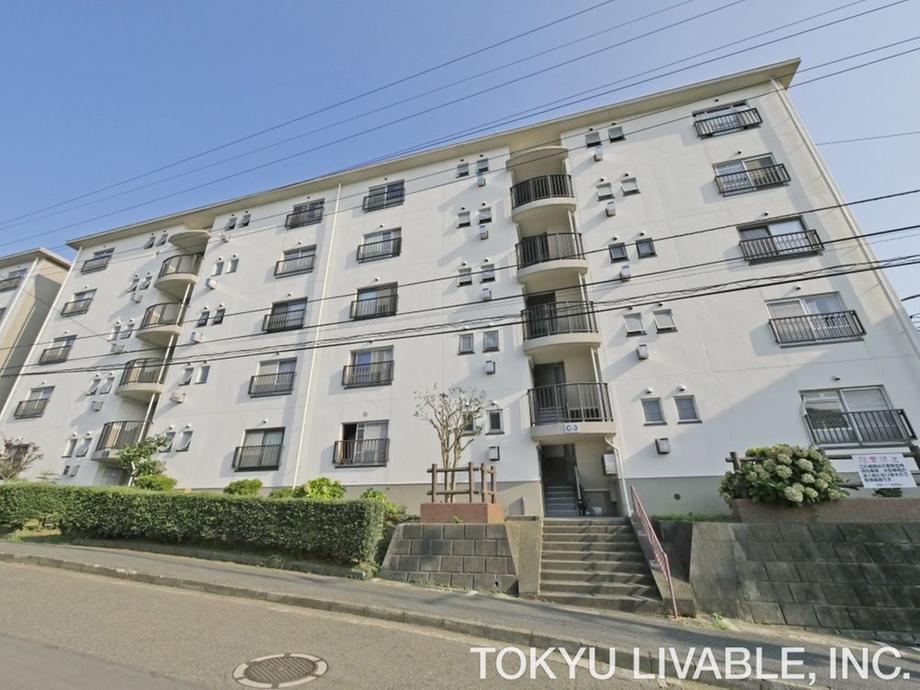 3DK apartment in Totsuka Ward, Yokohama, Kanagawa - Photo 1
