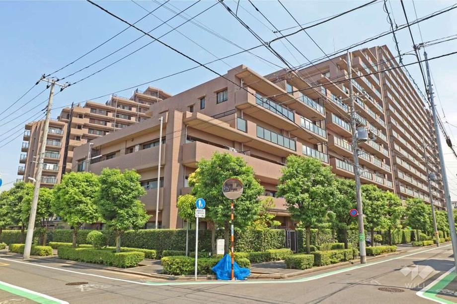 3LDK apartment in Adachi Ward, Tokyo - Photo 1