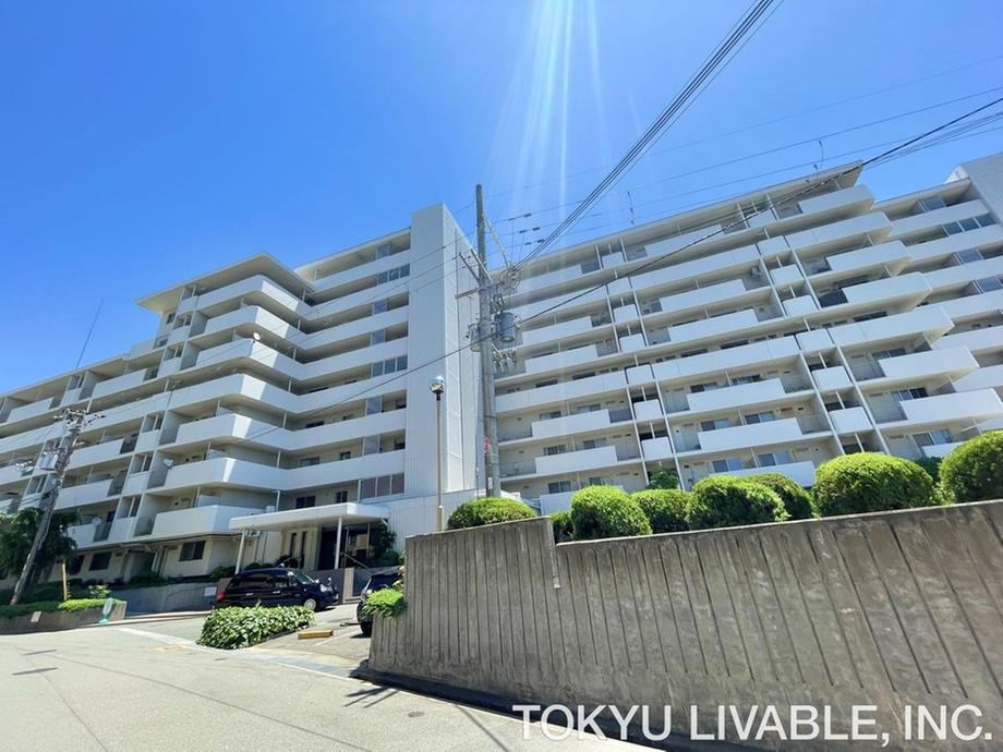 Property - Photo 1