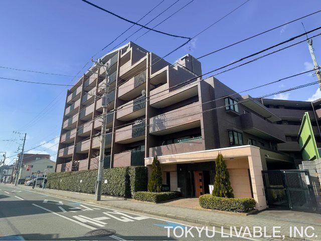 Property - Photo 1