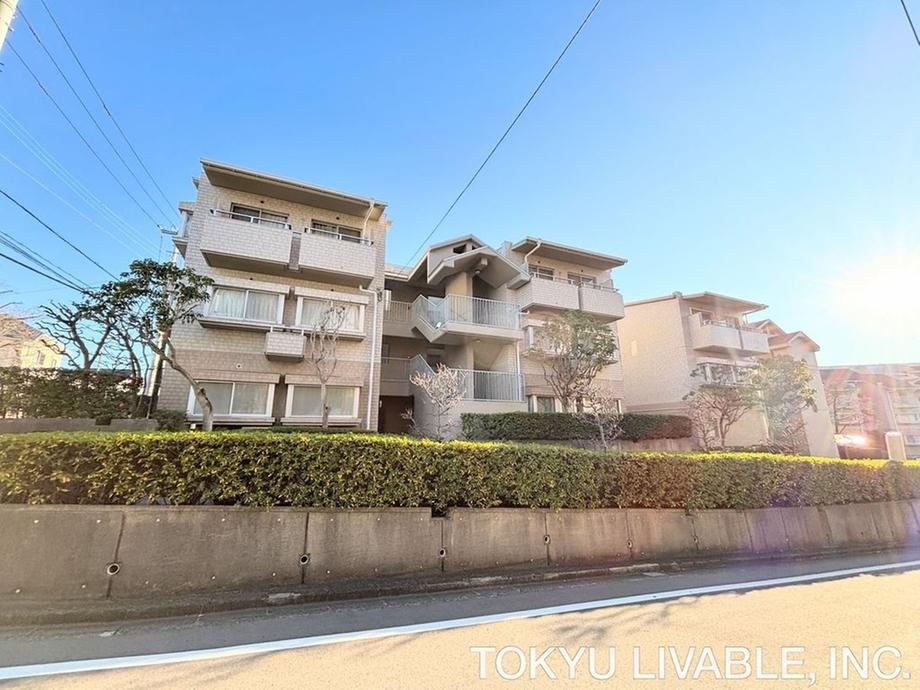 Property - Photo 1
